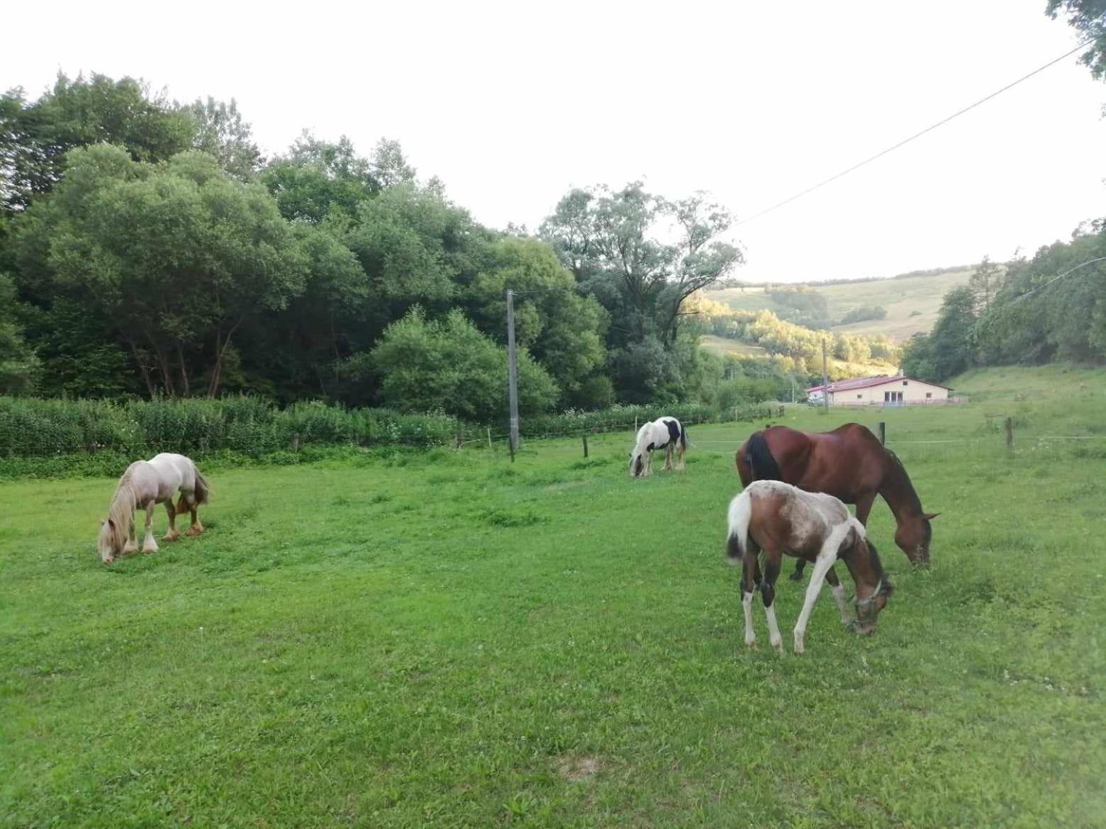 Matiaska Oddychovy Pobyt Na Rodinnej Farme מראה חיצוני תמונה